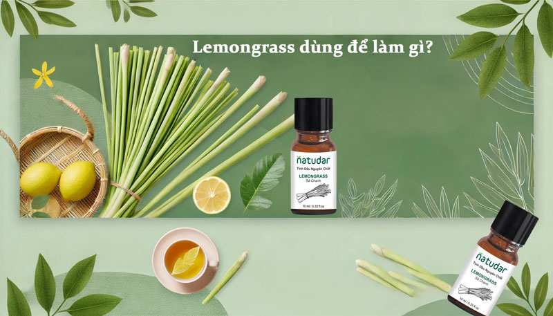 leomgrass dùng để làm gì