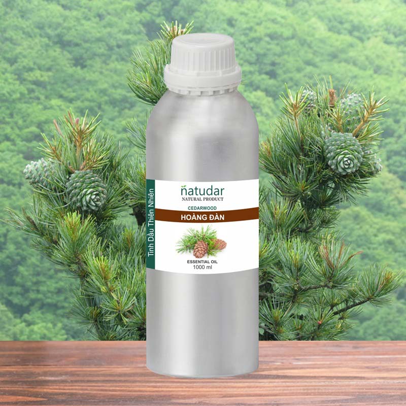 tinh dau hoang dan/tinh dau tuyet tung